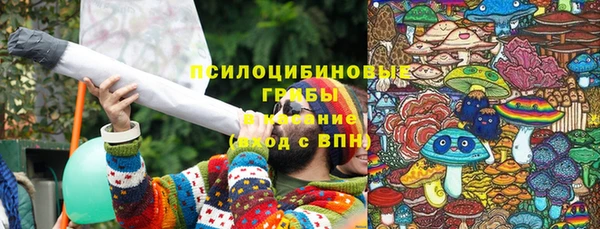 ПСИЛОЦИБИНОВЫЕ ГРИБЫ Лагань