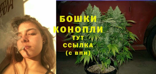 ПСИЛОЦИБИНОВЫЕ ГРИБЫ Лагань