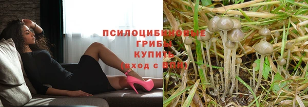 трава Ладушкин