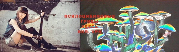 синтетический гашиш Лабытнанги